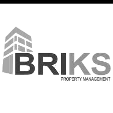 Logo BRIKS