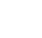 icon custom