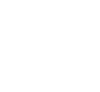 icon save